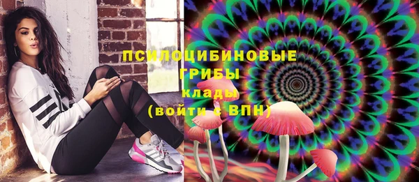 таблы Богородск