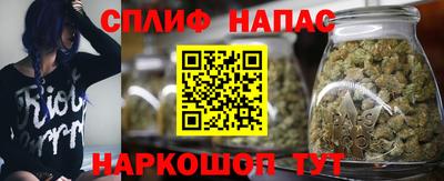 хмурый Краснознаменск