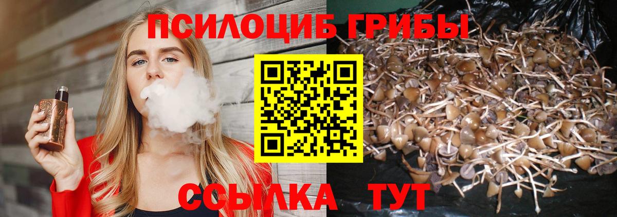 Галлюциногенные грибы ЛСД Кстово